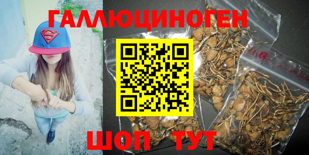 Псилоцибиновые грибы ЛСД Йошкар-Ола